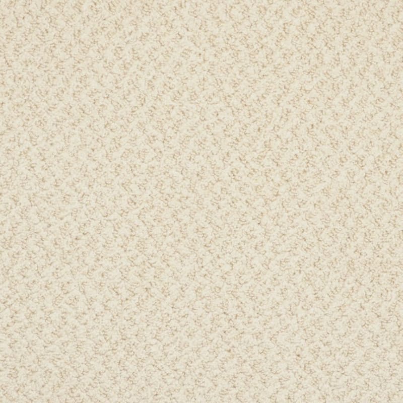 New Hope carpet by Masland