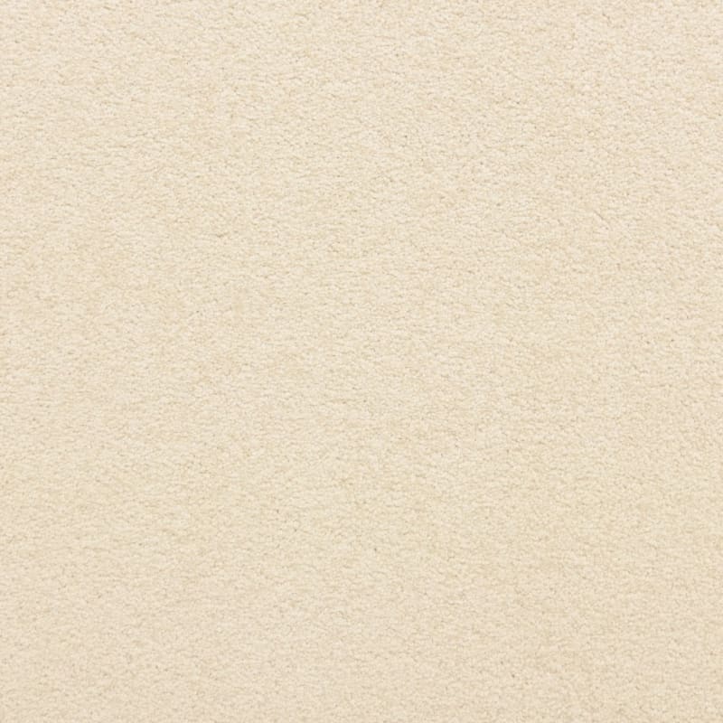 Knockout carpet by Masland