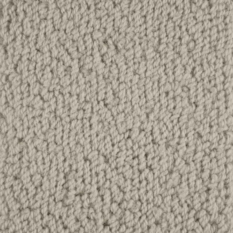 Novellino carpet by Masland