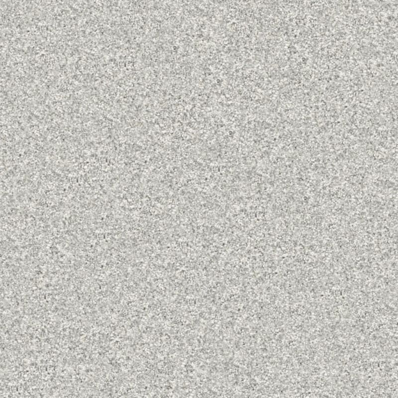 Tracker carpet by Masland