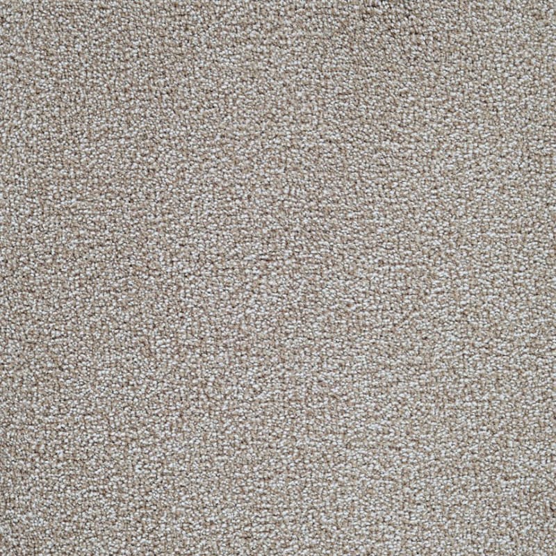 Delray carpet by Masland