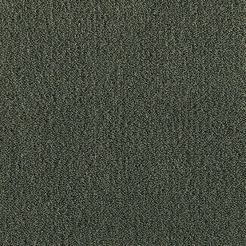 Panache carpet by Masland