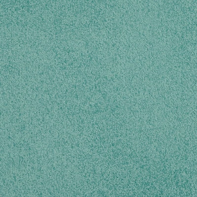 Americana carpet by Masland