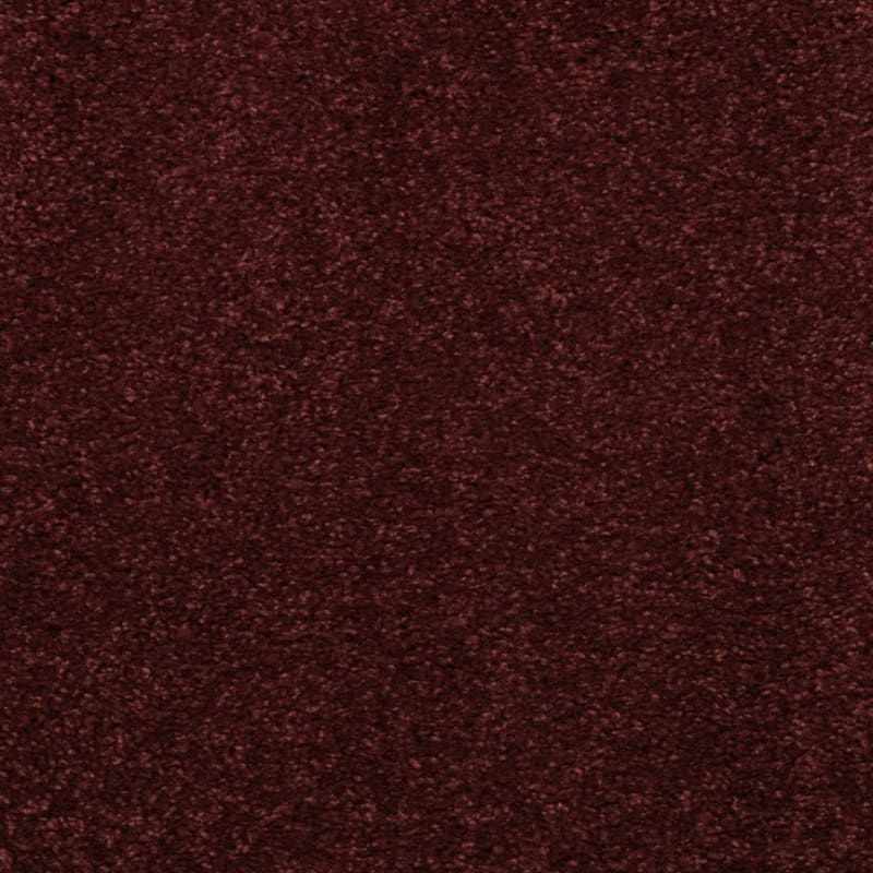 Embrace carpet by Masland