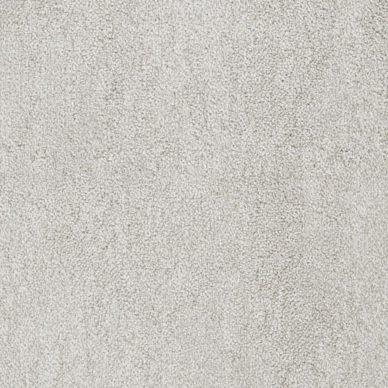 Buena Vida carpet by Masland