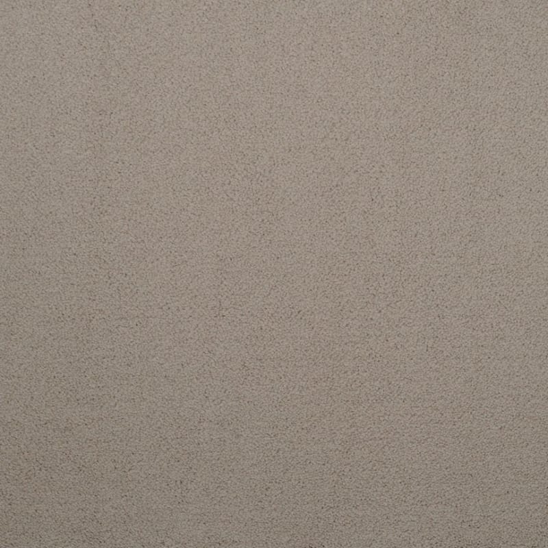 Silk Touch carpet by Masland