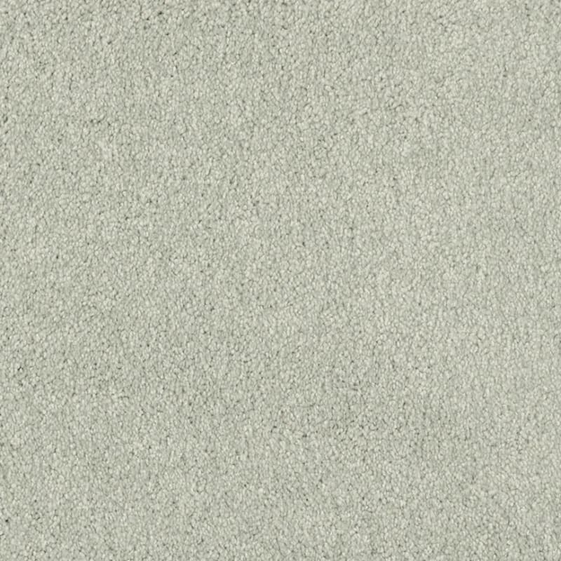 Miami carpet by Masland