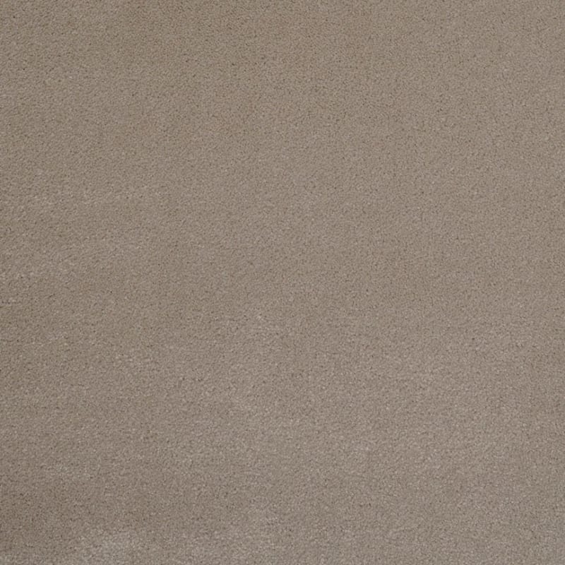 Silk Touch carpet by Masland