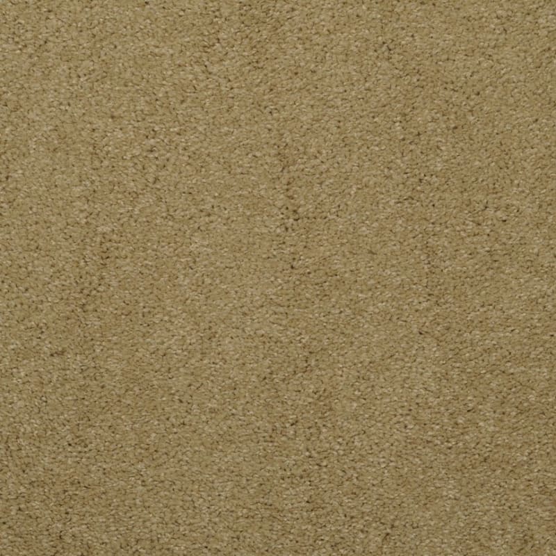 Embrace carpet by Masland