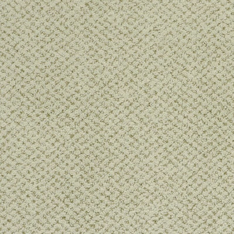 Montauk carpet by Masland