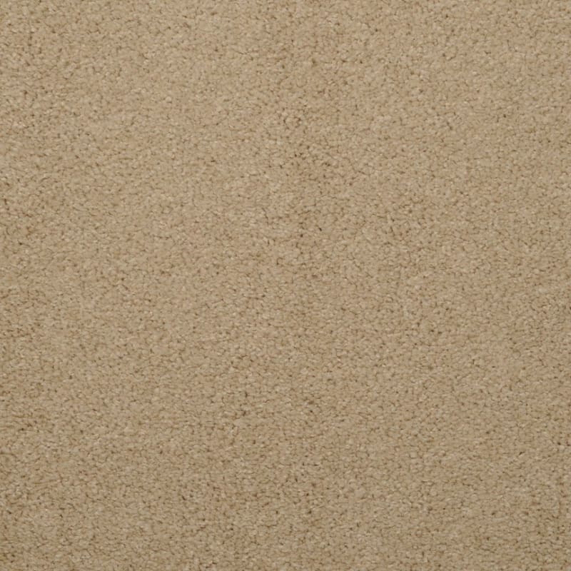 Embrace carpet by Masland
