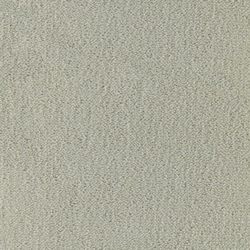 Panache carpet by Masland