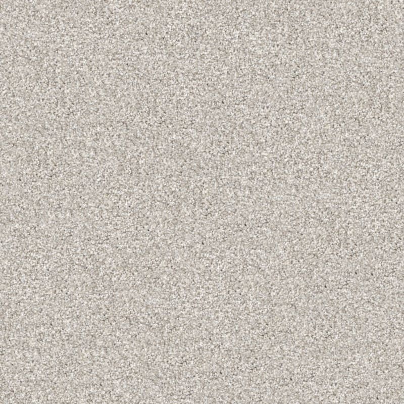 Tracker carpet by Masland