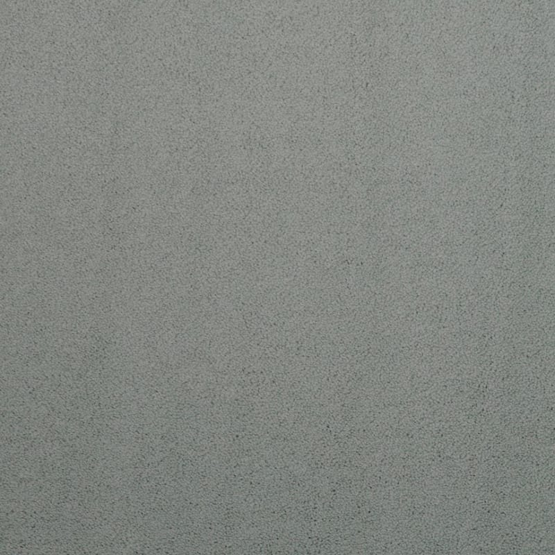 Silk Touch carpet by Masland