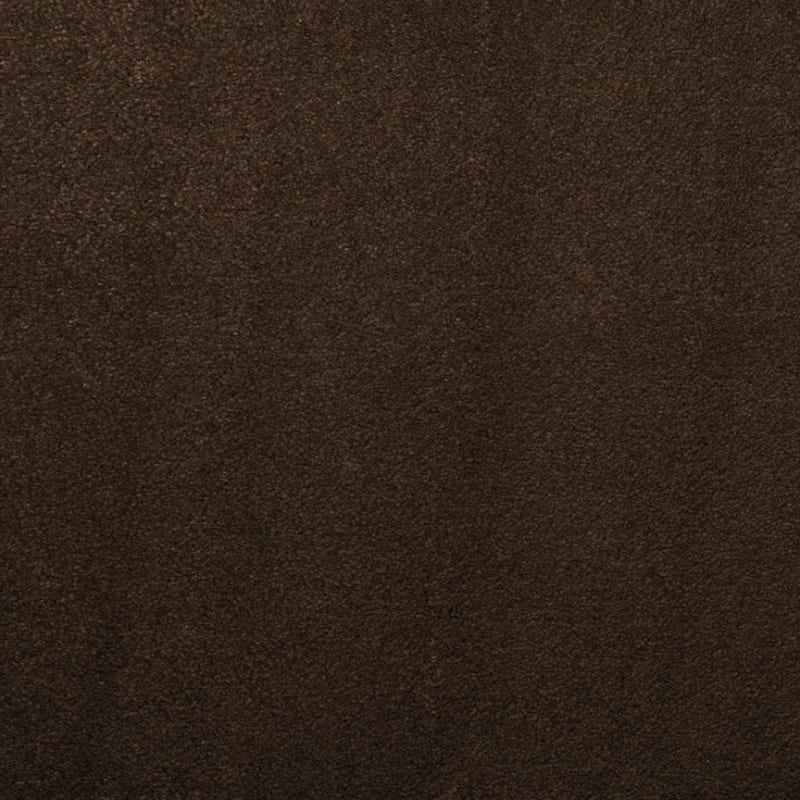 Silk Touch carpet by Masland