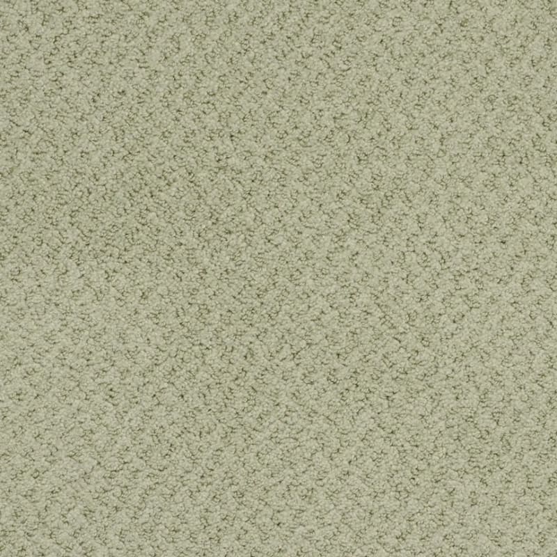 New Hope carpet by Masland