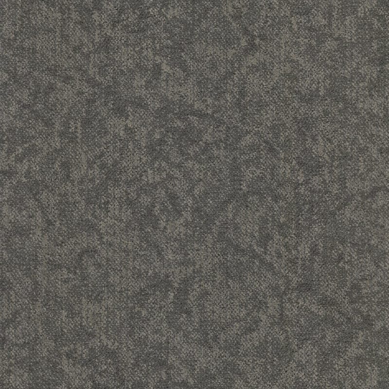 Coast carpet by Masland