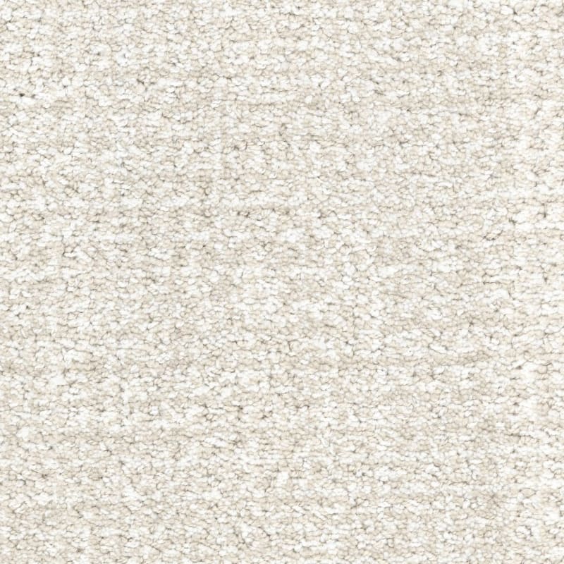 Pedigree carpet by Masland