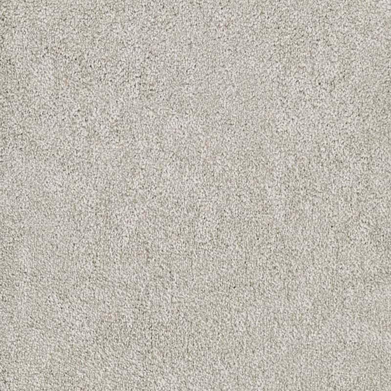 Buena Vida carpet by Masland