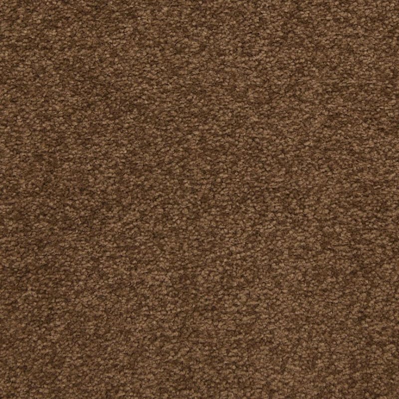 Patriot carpet by Masland