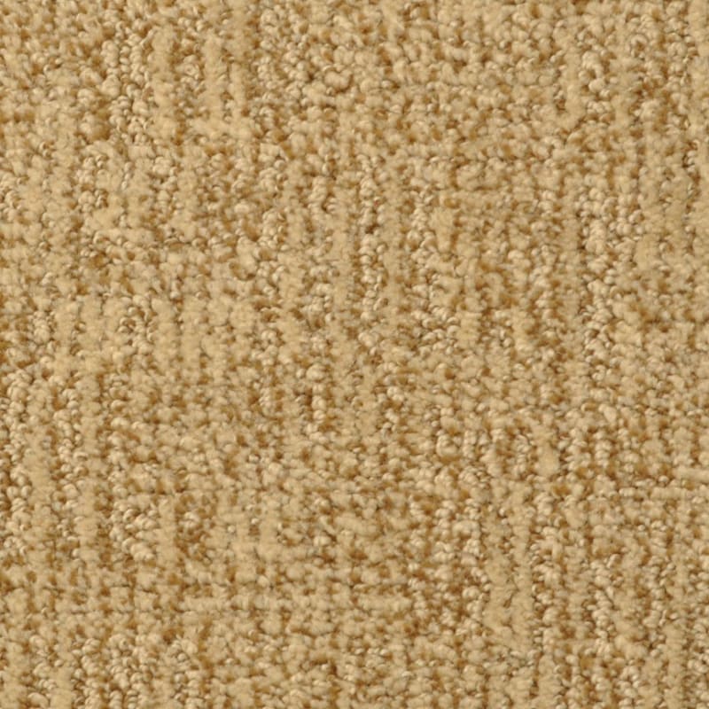Casa Grande carpet by Masland