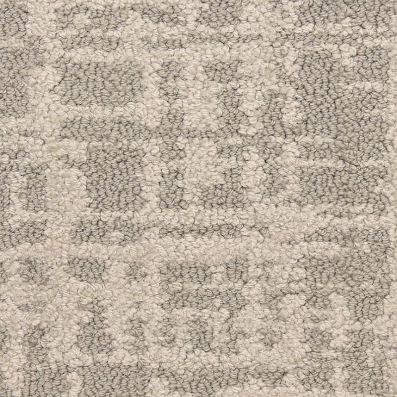 Censor carpet by Masland