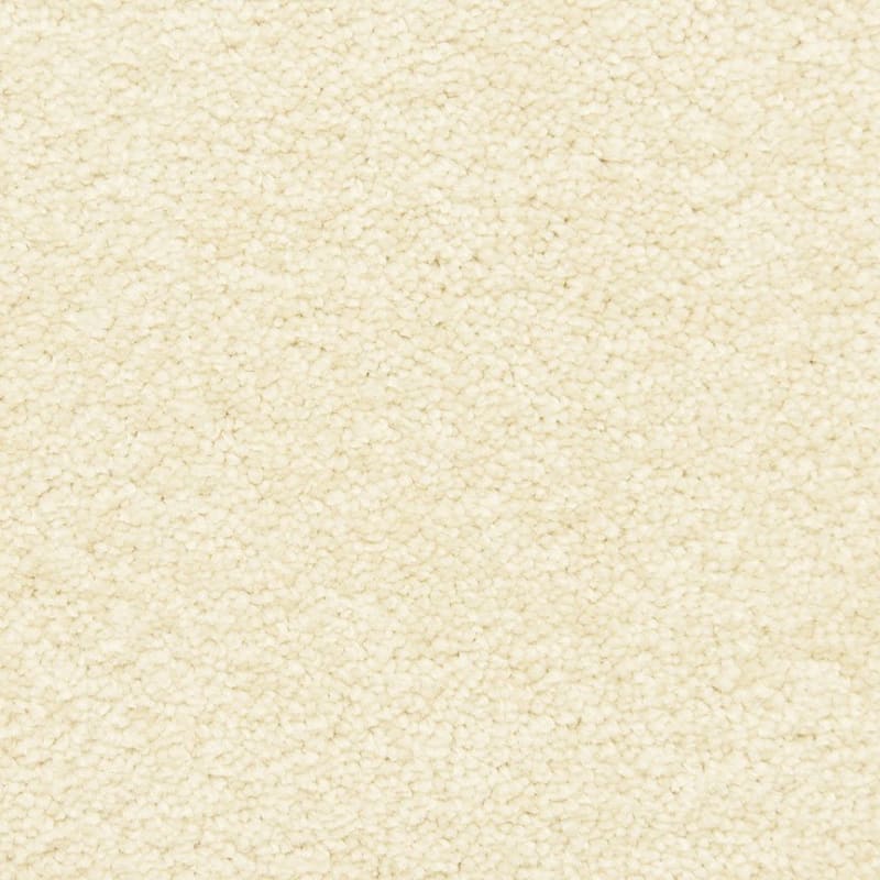 Morgan Bay carpet by Masland