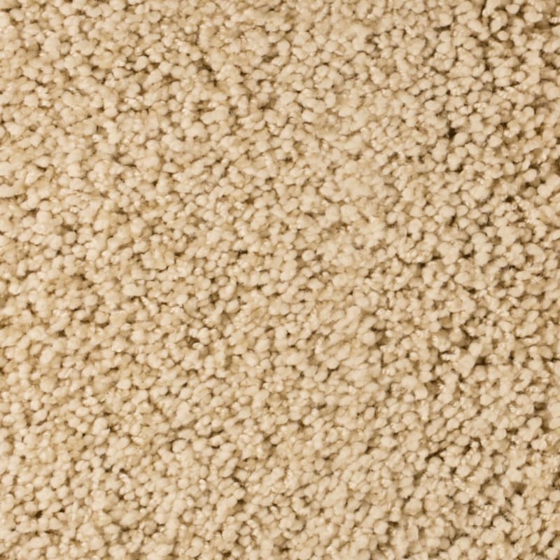 Shangri-La carpet by Masland