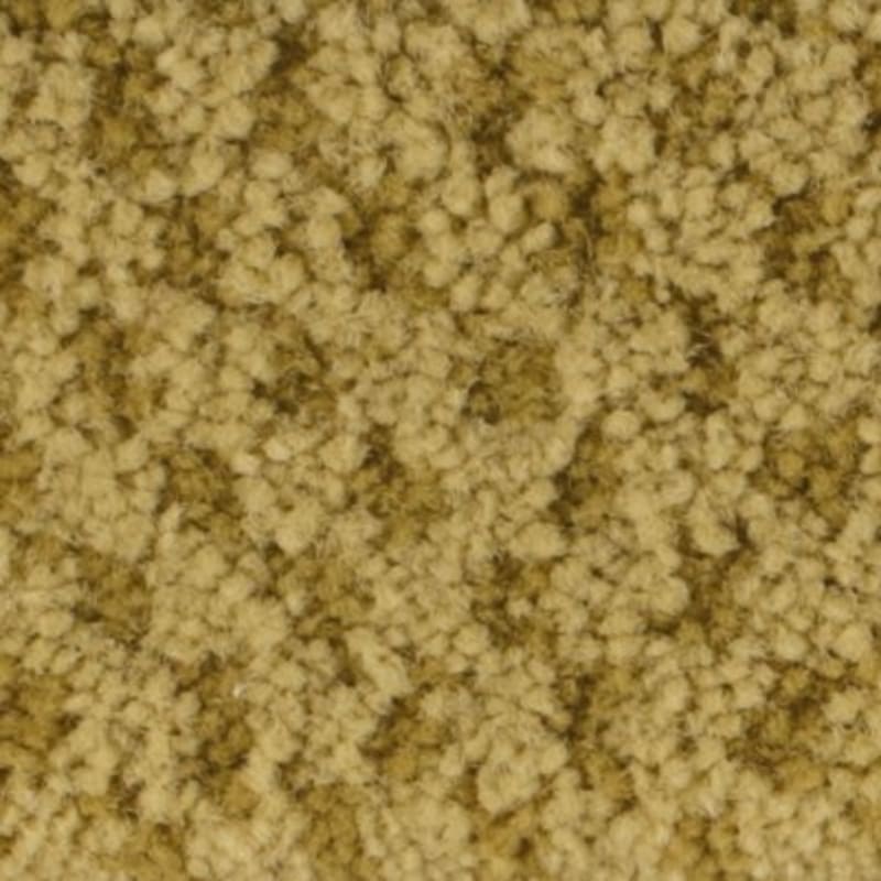 Seurat carpet by Masland
