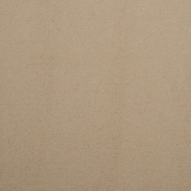 Silk Touch carpet by Masland