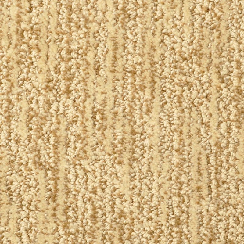 Mesa Verde carpet by Masland