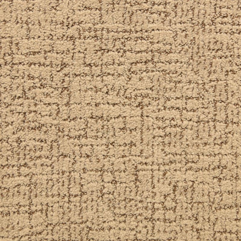 Dorado carpet by Masland