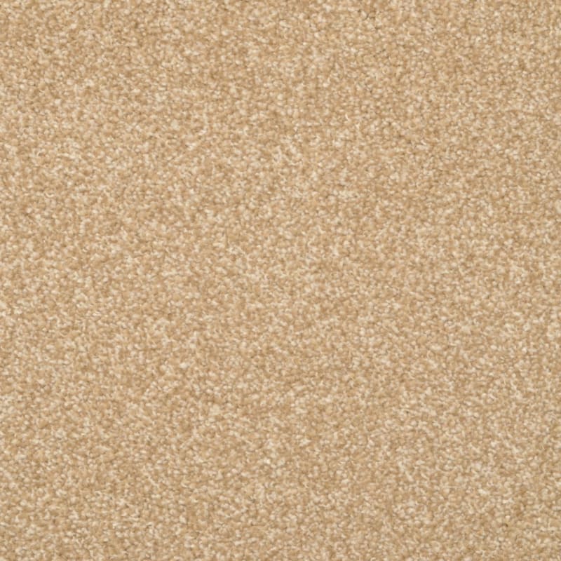 Beacon Hill carpet by Masland