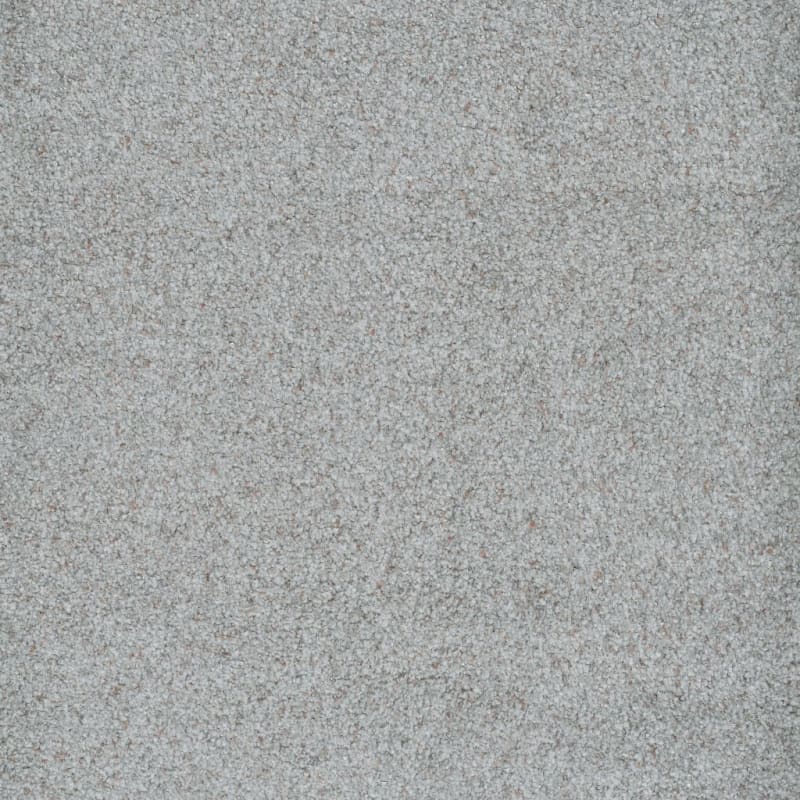 Boca Raton carpet by Masland