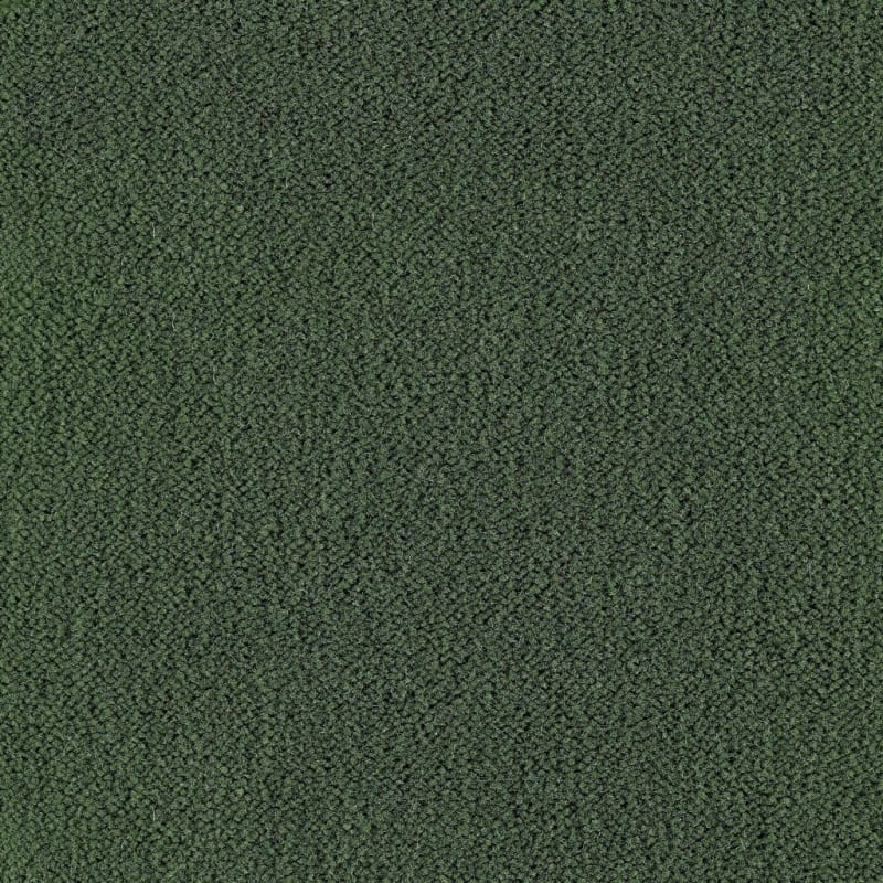 Panache carpet by Masland