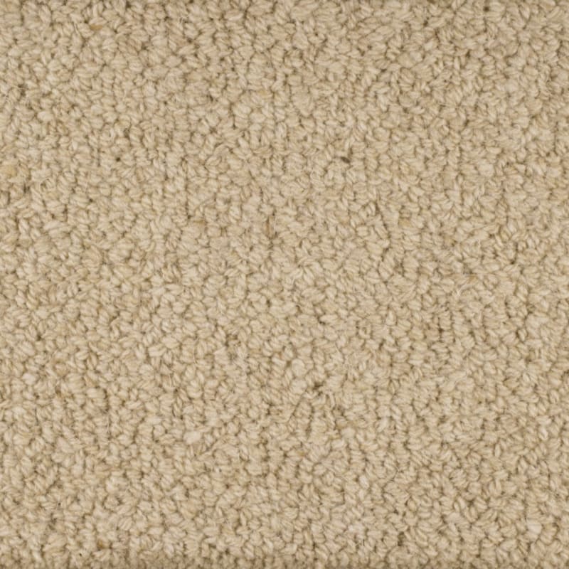 Wexford carpet by Masland
