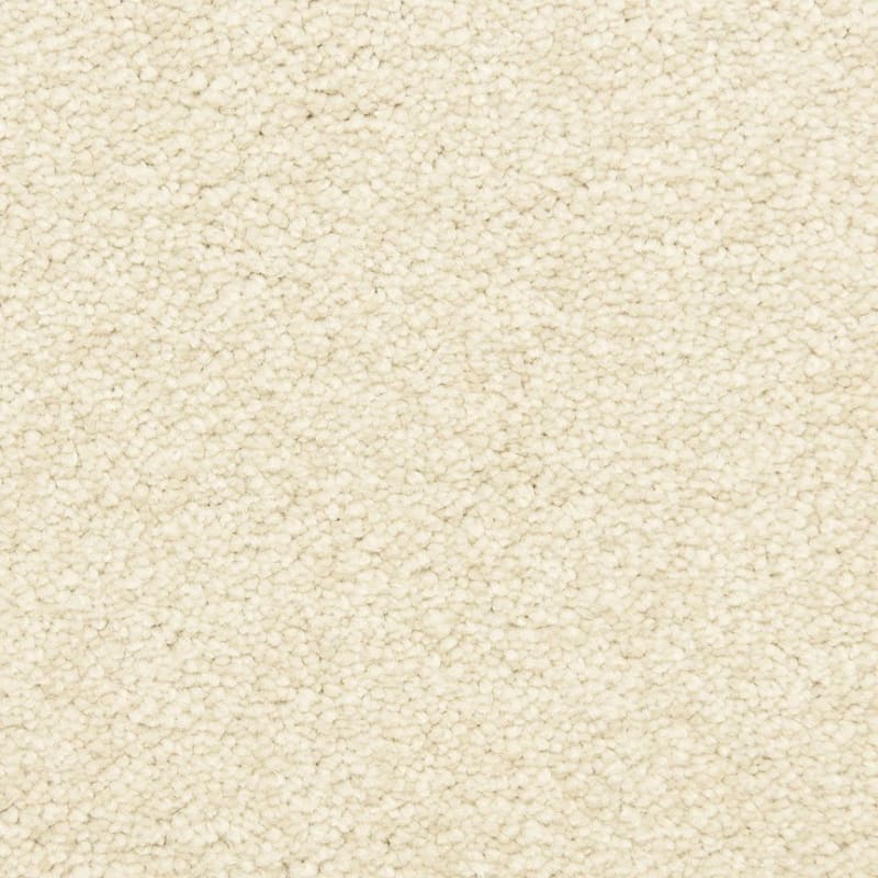 Morgan Bay carpet by Masland