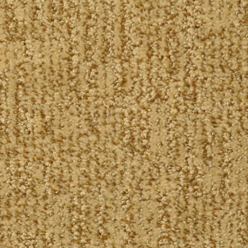 Casa Grande carpet by Masland