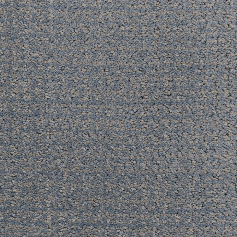 Pedigree carpet by Masland