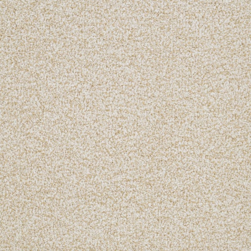 St. Augustine carpet by Masland