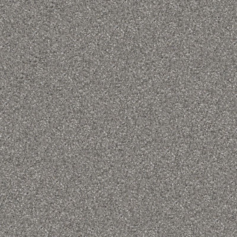 Tracker carpet by Masland