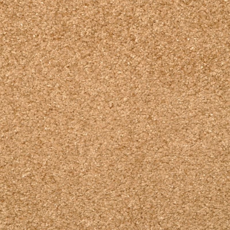 Opalesque carpet by Masland