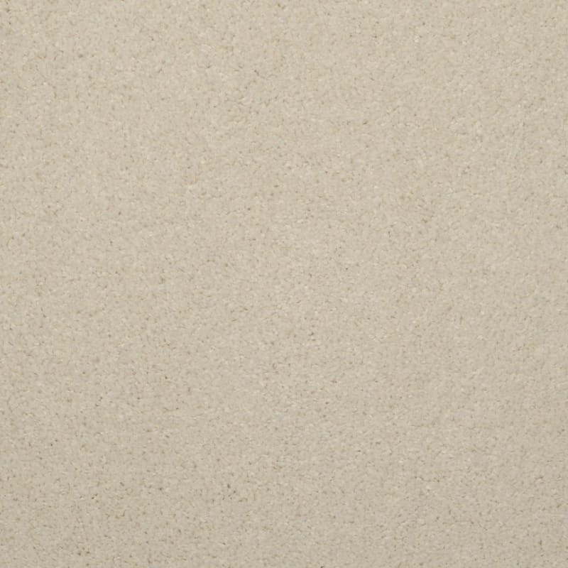Embrace carpet by Masland