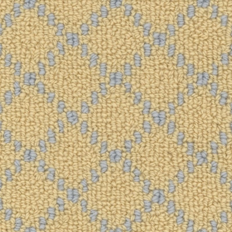 Charmant carpet by Masland