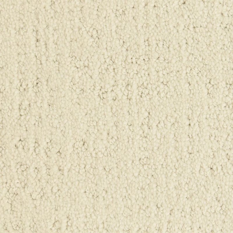 Santa Barbara carpet by Masland