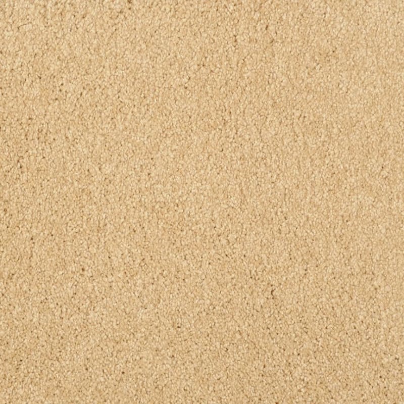 Miami carpet by Masland