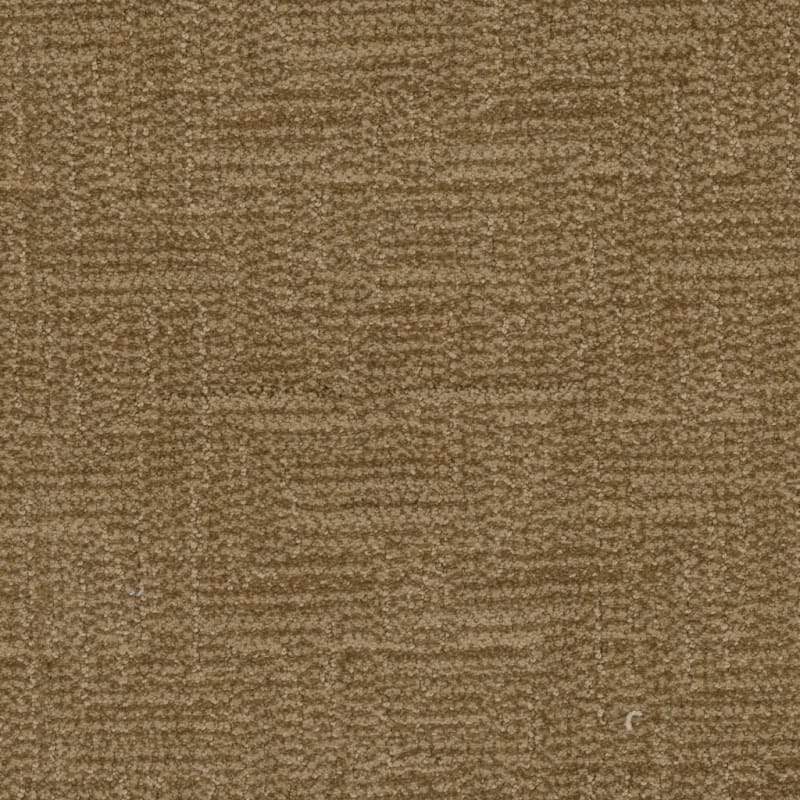 Prestigious carpet by Masland