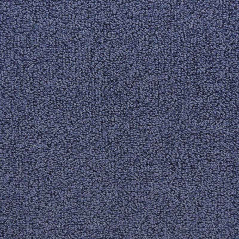 Marina Del Mar carpet by Masland