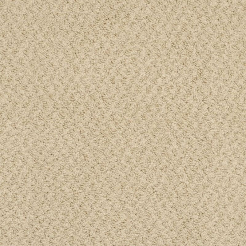 New Hope carpet by Masland