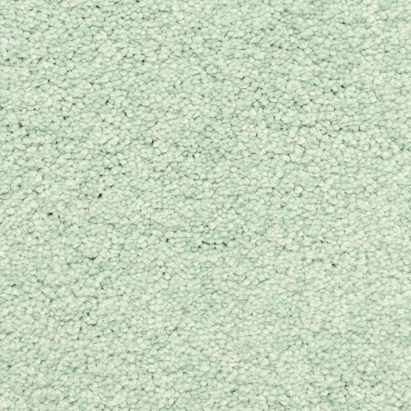 Morgan Bay carpet by Masland